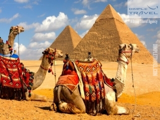 Egypt Day Tours